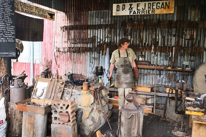 Cairns Paronella Park Herberton and Wild life Tour - The Experience and Logistics