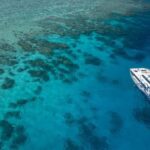 Cairns: Premium Snorkelling and Diving Reef Day Trip - Marine Life & Marine Environment