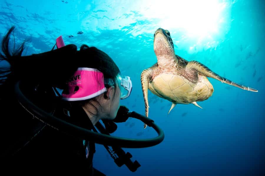 Cairns: Pro Dive 5 Day Learn to Dive Great Barrier Reef - Why This Tour Works Well for Travelers
