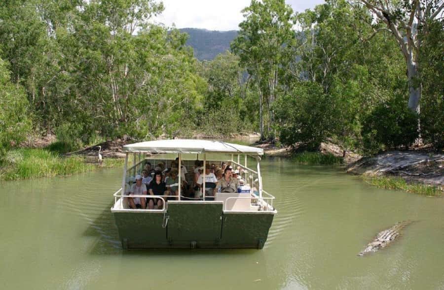 Cairns Shore Excursion: Crocodile & Wildlife Park Tour - The Experience from Real Travelers