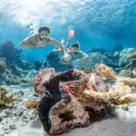 Cairns: Silverswift 3 Great Barrier Reef Sites in 1 Day - Who Should Consider This Tour?