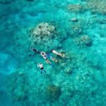 Cairns: Snorkelling and Diving Reef Day Trip - The Perfect Trip for Who?