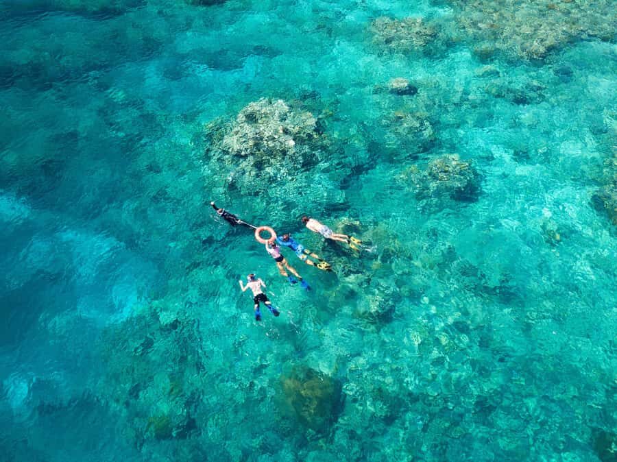 Cairns: Snorkelling and Diving Reef Day Trip - The Perfect Trip for Who?