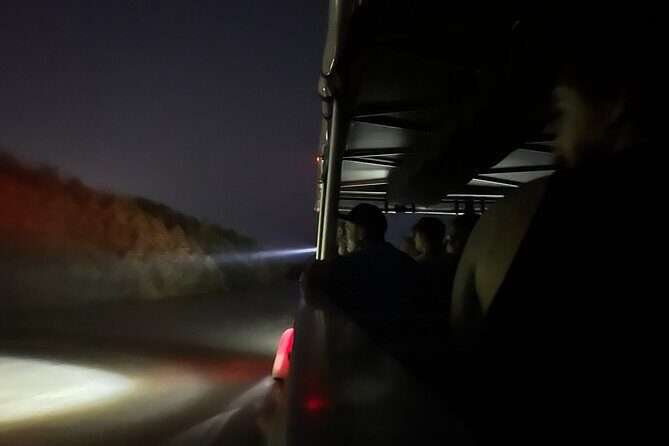 Cairns Sunset Cruise with Indigenous Culture and Canapes - Why This Tour Represents Good Value