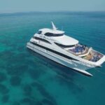 Cairns Super Saver: Reef Cruise, Daintree & Kuranda Rail/Skyrail - What Travelers Say: Authentic Insights