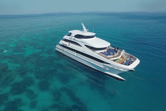 Cairns Super Saver: Reef Cruise, Daintree & Kuranda Rail/Skyrail - What Travelers Say: Authentic Insights