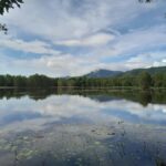 Cairns: Waterfall, Wetlands and Skyrail - What Does the Tour Offer in Terms of Value?