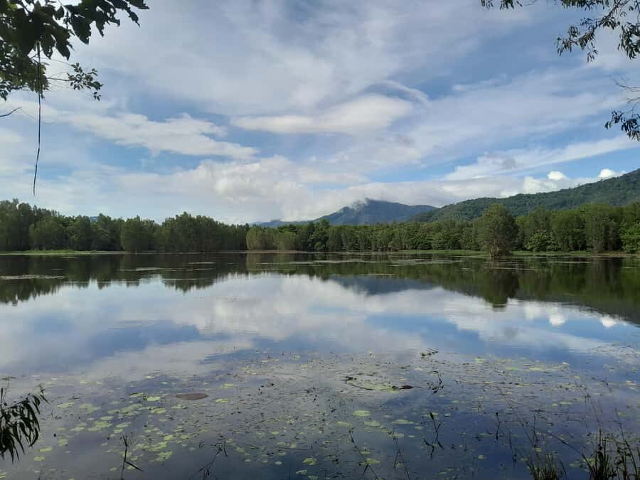 Cairns: Waterfall, Wetlands and Skyrail - What Does the Tour Offer in Terms of Value?