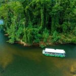 Cairns: Wildlife Habitat, Mossman Gorge, and Daintree Tour - The Value of This Tour