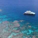 Calypso Outer Great Barrier Reef Cruise from Port Douglas - Why This Tour Shines