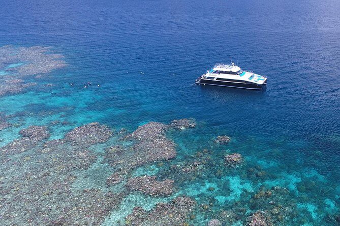 Calypso Outer Great Barrier Reef Cruise from Port Douglas - Why This Tour Shines