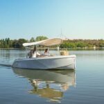 Canberra: Electric Picnic Boat Rental - The Experience: A Closer Look at the Journey