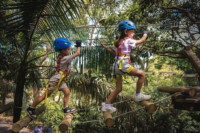 Canberra Junior Tree Ropes Course - Practical Tips for Visitors