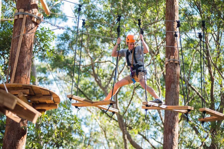 Canberra: Majura Pines Tree Ropes Course - Practical Tips for Visitors