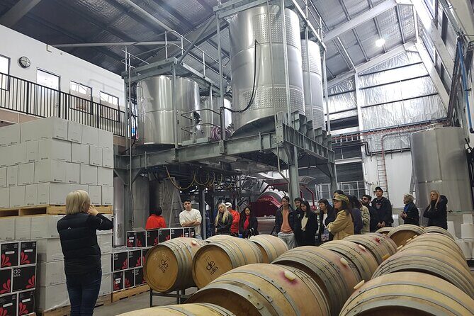 Canberra Small Group Winery Tour - The Experience for the Traveler