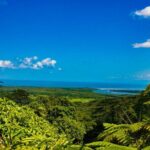 Cape Tribulation Day Tour - What’s Included & What’s Not