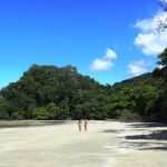 Cape Tribulation Day Tour from Cairns - What Travelers Say
