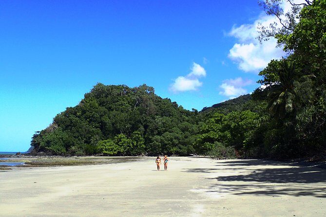 Cape Tribulation Day Tour from Cairns - What Travelers Say