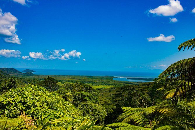 Cape Tribulation Day Tour - What’s Included & What’s Not