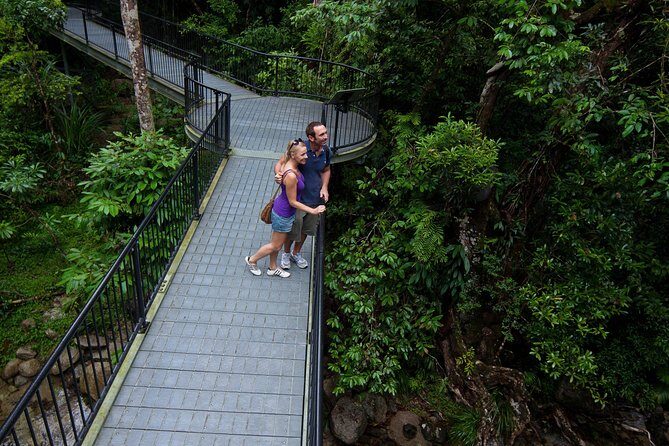 Cape Tribulation, Mossman Gorge and Daintree Rainforest Day Tour - What Makes This Tour Stand Out