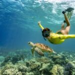 Cape Tribulation Ocean Safari - Great Barrier Reef Adventure - Analyzing Value and Practical Details