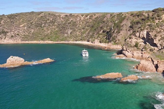 Cape Woolamai Sightseeing Cruise from San Remo - Why This Cruise Offers Good Value