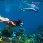 Capt Cook Cruises Super Saver Combo: Day Sail + Dinner Cruise - Frequently Asked Questions