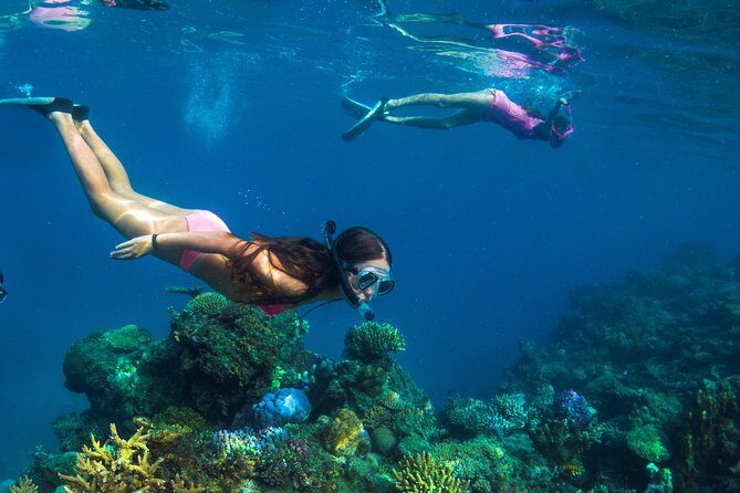 Capt Cook Cruises Super Saver Combo: Day Sail + Dinner Cruise - Frequently Asked Questions