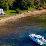 Captain Cook and Dolphin Cruise - The Experience on Board