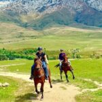 Cardrona High Country Pub Trail Horse Trek (Intermediate level+) - Authenticity and Attention to Detail
