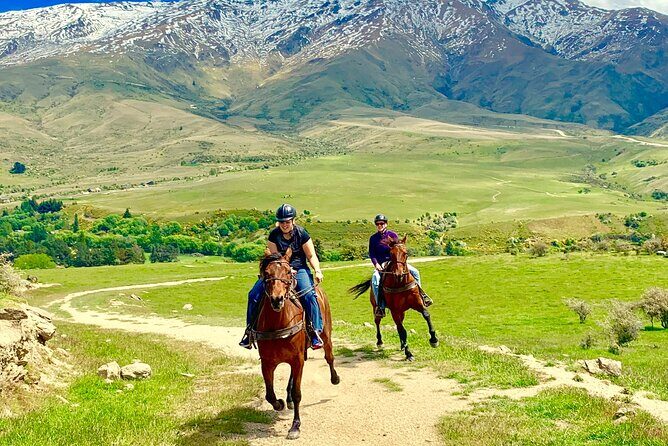 Cardrona High Country Pub Trail Horse Trek (Intermediate level+) - Authenticity and Attention to Detail