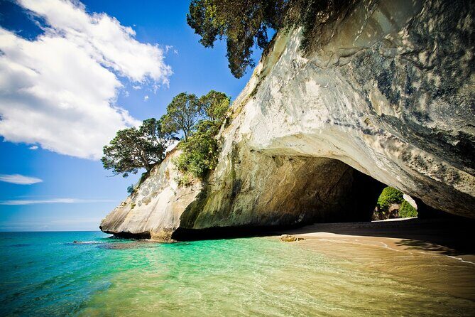 Cathedral Cove & Coromandel Peninsula Small-Group Day Tours - Frequently Asked Questions