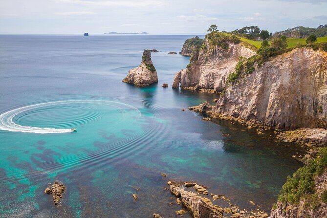 Cathedral Cove & Coromandel, Small-Group Tour from Auckland - Logistics and Comfort