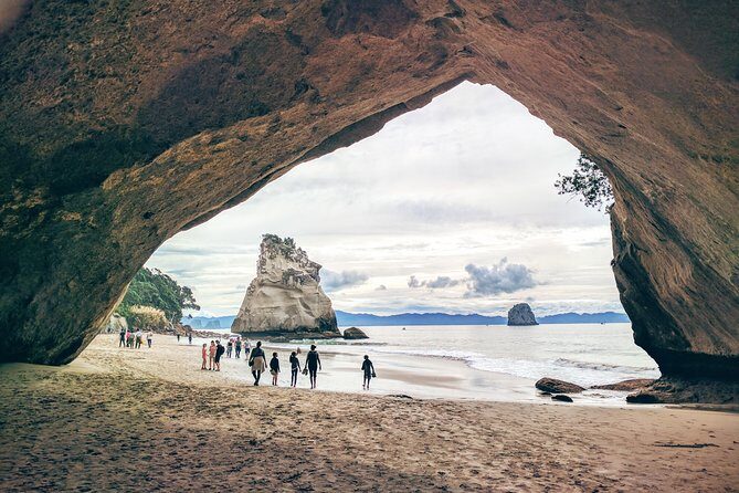 Cathedral Cove Day Trip from Auckland - Mount Paku: A Volcano with a View
