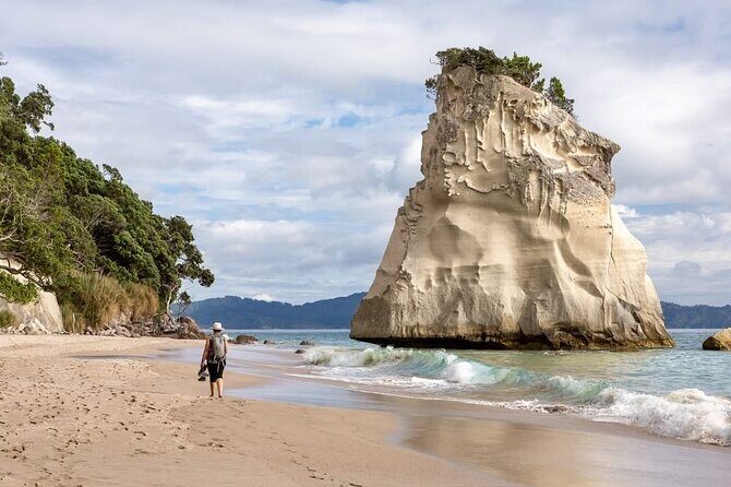 Cathedral Cove & Hot water beach -Full Day Tour: PRIVATE TOUR - Who Will Love This Tour?