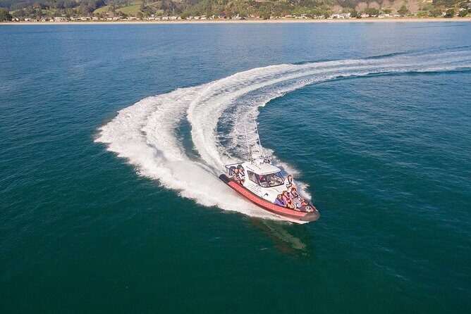 Cathedral Cove Scenic Cruises Whitianga - Who Should Book This Tour?