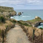 Catlins Cruiser Private Tour from Dunedin Cruise Port - What Travelers Say