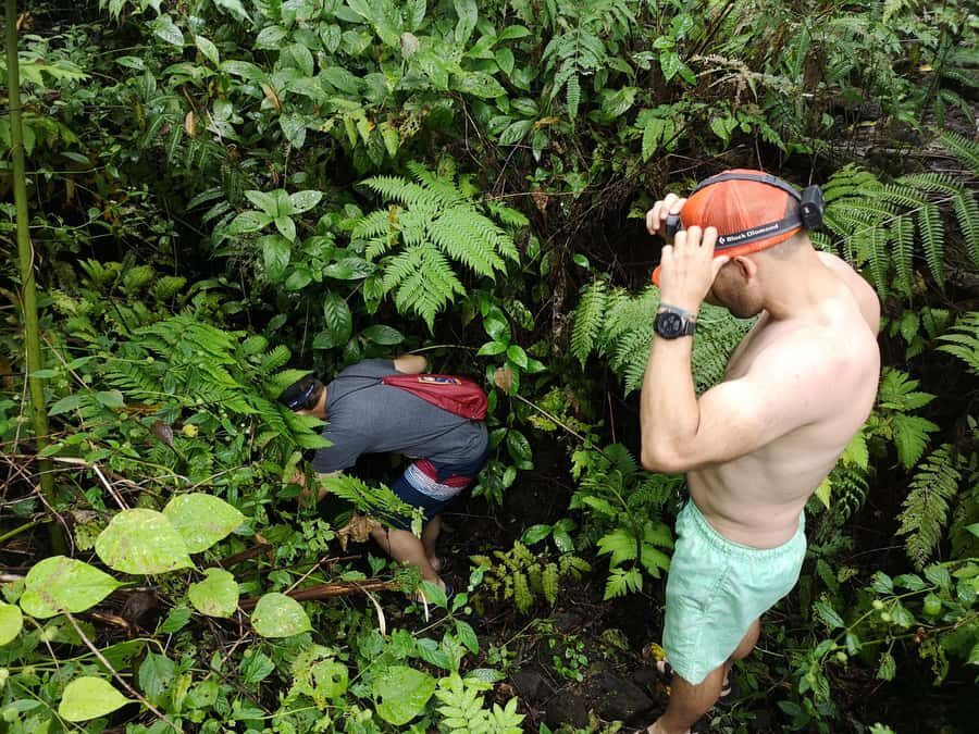 Cave Pool & Lava Tube Swims of Upolu - The Experience and Value