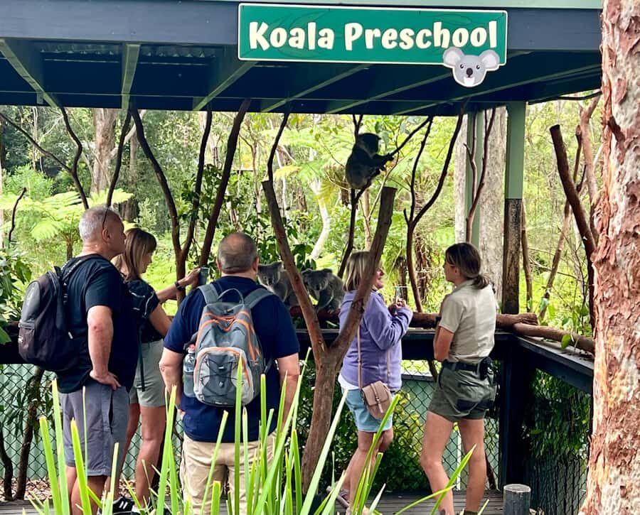 Central Coast Tour - Wildlife Encounters at the Australian Reptile Park