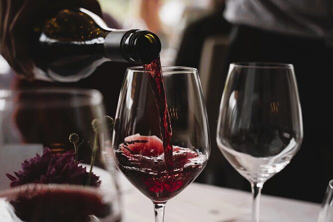 Central Otago Wine Tour Small Group, Expert Guide & Scenic Views - Who Is This Tour Best For?