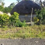 CFC Arrival Private Transfer -Nadi Int Airport to Hideaway Resort Coral Coast - Transportation Quality and Comfort