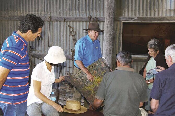 Charters Towers Venus Gold Battery Experience - A Deep Dive into the Tour Experience