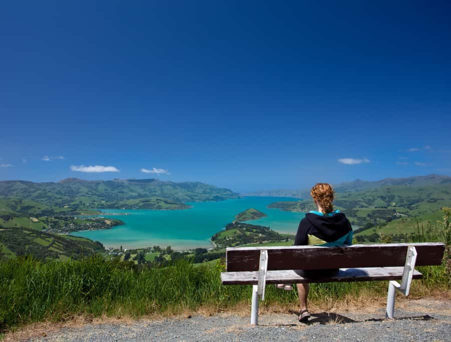 Christchurch: Akaroa and Banks Peninsula Day Trip - Visiting Giants House or Opting for a Harbour Cruise