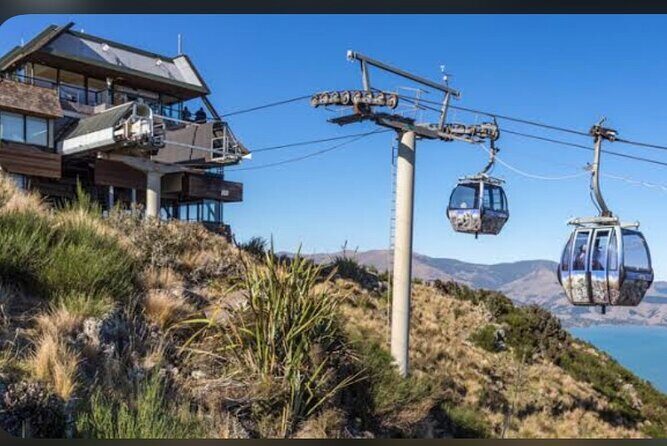 Christchurch City Full Day Private Tour - The Real Traveler Experience