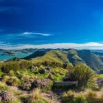 Christchurch City Highlights Half Day Tour - Worth the Price?