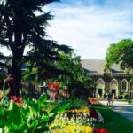 Christchurch City Private Day Tour with Gondola - Authentic Experiences and Real Feedback