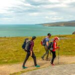 Christchurch: Godley Head & Lyttelton Guided Walking Tour - An Introduction to the Tour Experience