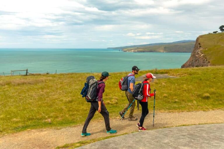 Christchurch: Godley Head & Lyttelton Guided Walking Tour - An Introduction to the Tour Experience