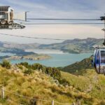 Christchurch: Gondola Ticket and Punt Ride on the Avon River - Who Will Love This Tour?