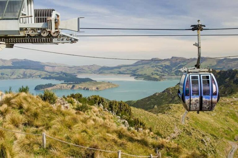 Christchurch: Gondola Ticket and Punt Ride on the Avon River - Who Will Love This Tour?